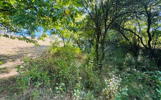 TEREN INTRAVILAN 3234 MP LEREȘTI VOINEȘTI ARGEȘ - Poză 28