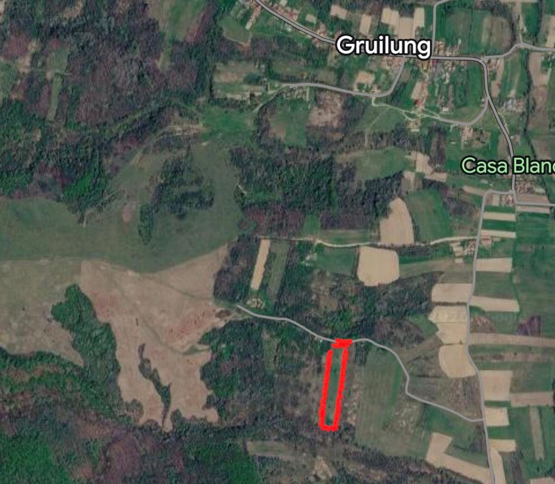 Teren Extravilan Gruilung - Poză 2