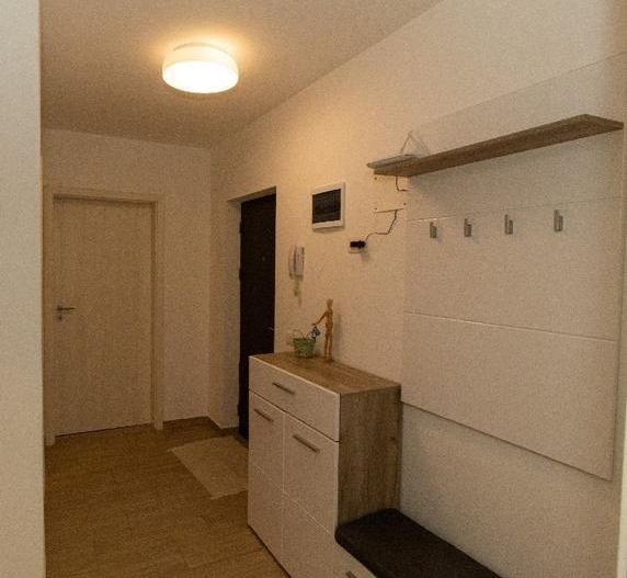 Apartament 2 Camere Theodor Pallady / Parcare - Poză 11
