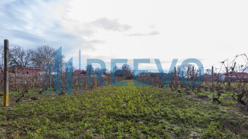 Casa si teren 3365mp Sascut - Poză 30