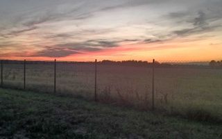 Teren intravilan 2078 mp langa padure - Piscu Ciolpani Snagov - Poză 3