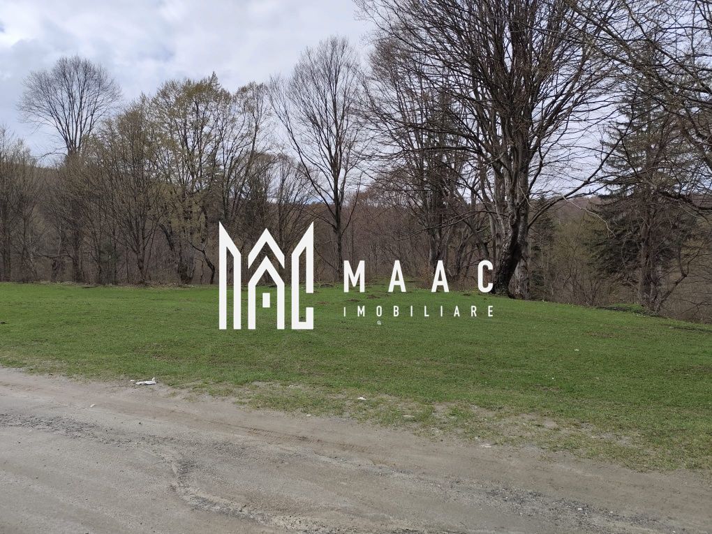 Teren Intravilan |2000Mp| Valea Avrigului - Poză 4