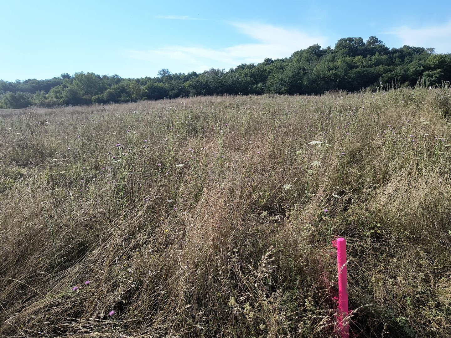 Teren intravilan investitie - Poză 7