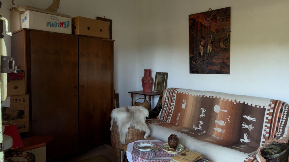 Casa | Bradetu, Arges | Crama | Tranfagarasan | Vidraru - Poză 17