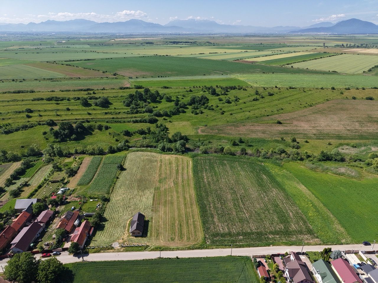 Teren intravilan 10.000 mp, Rotbav (Feldioara) - Poză 4