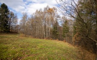 Teren intravilan, cu PUZ, Bran Tohanita,  SE ACCEPTĂ ȘI SCHIMB - Poză 20