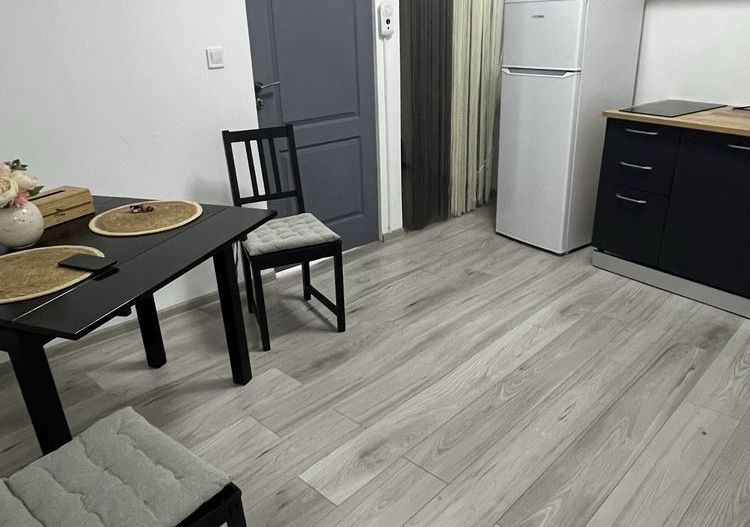 Apartament in vila Cervantes // Cișmigiu - Poză 2
