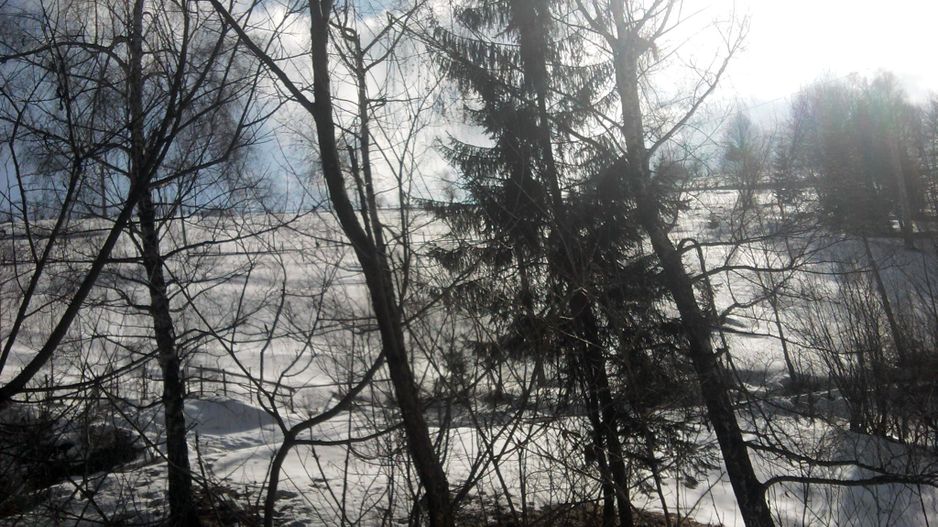 teren intravilan in zona Magura Bran - Poză 14