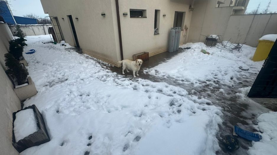 CASA INDIVIDUALA VOLUNTARI, CURTE 224 MP, CENTRALA TERMICA, COMIS 0% - Poză 2