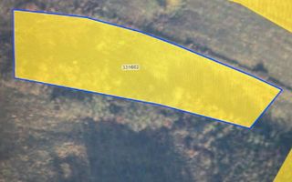 Teren intravilan | 6,259 mp | Colonia Bundus - Poză 2