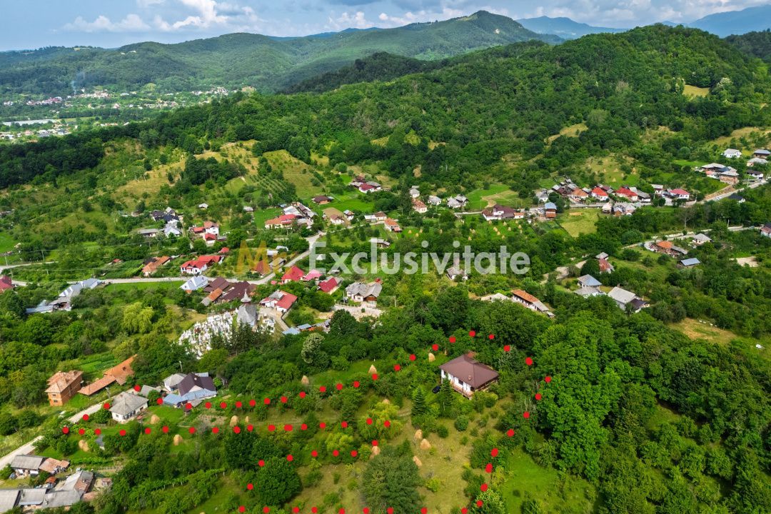 Casa moderna si casa bunicii + 6300 mp teren,Oaza autentica in Corbi Arges- - Poză 2