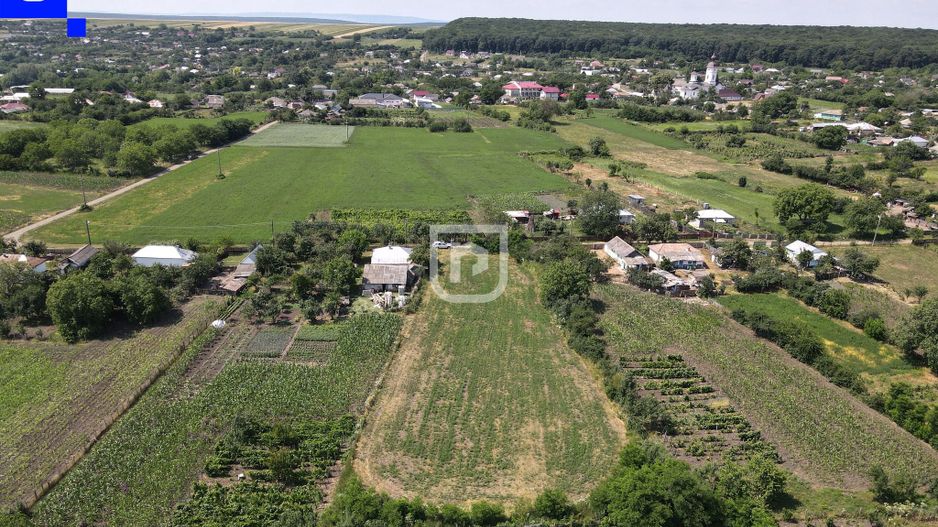 Teren - Ionășeni | BOTOȘANI | 3.285mp - Poză 7