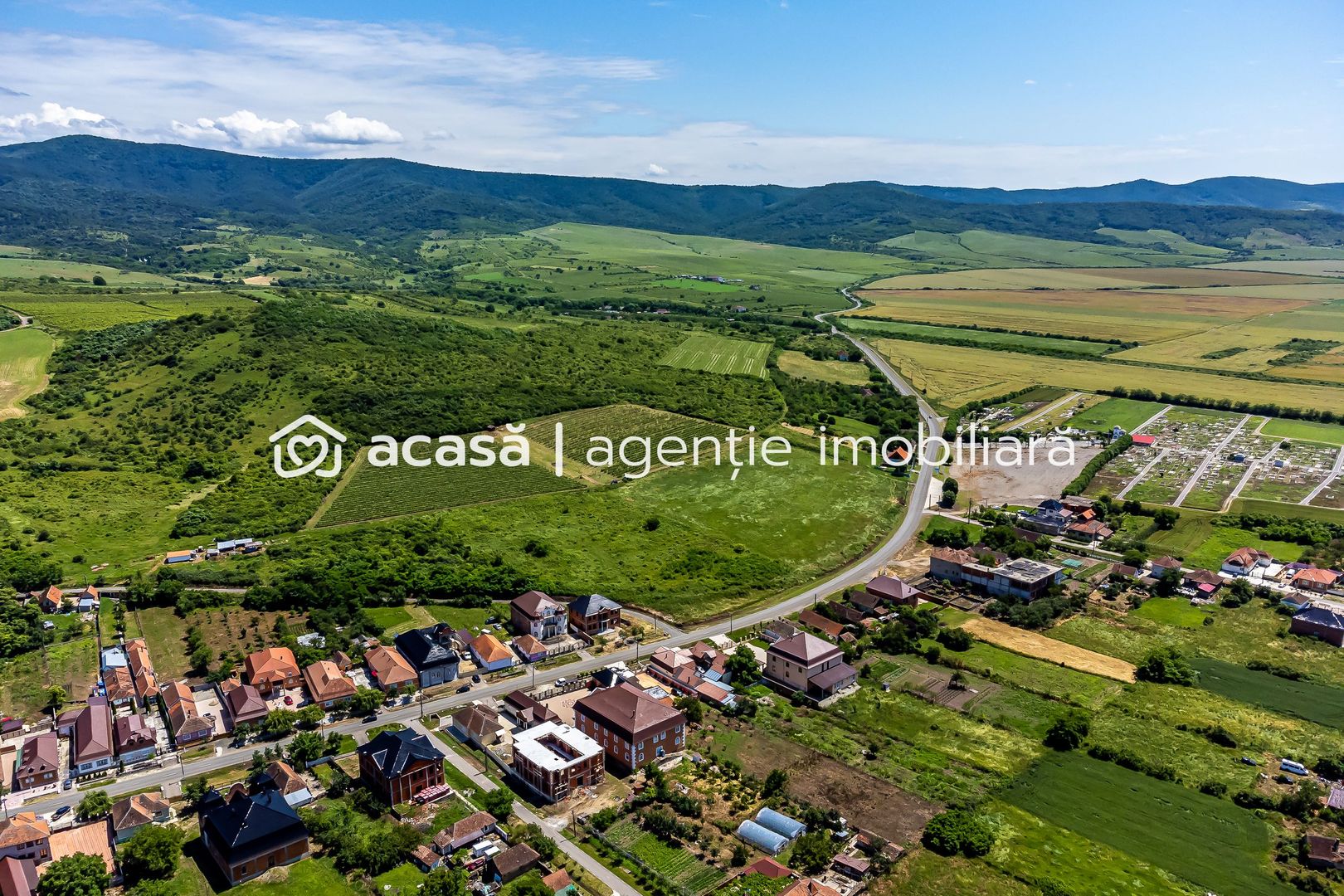 PRET REDUS Oportunitate de afacere, Teren cu vita de vie - Poză 2