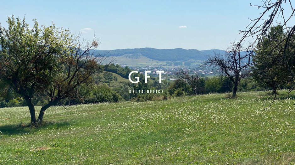 Teren Extravilan 11.000mp-Unirea-Valea Slatinitei - Poză 5