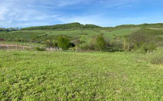 Teren 2160 mp - pretabil pentru cabana - investitie - Jelna - Poză 4