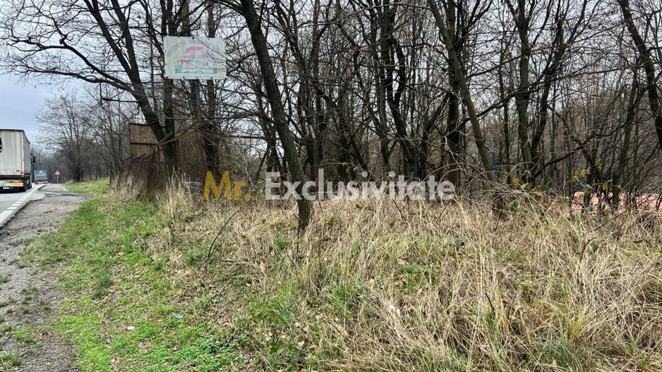 Teren intravilan 6.500 m²–Deschidere 144 ml drum european E81, km 35, Morăresti - Poză 5
