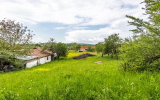 Casa traditionala + 8.500 mp teren, intravilan, Sinca Noua, Brasov - Poză 17