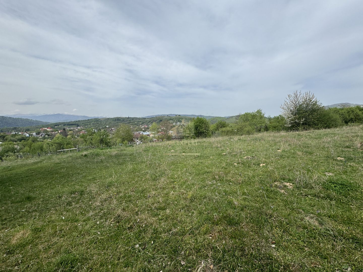 TEREN INTRAVILAN, 7472 MP, VALEA MARE PRAVAT, ARGES - Poză 12