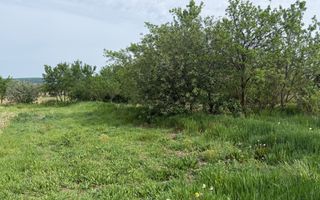 Casa cu teren generos și posibilitate de pescuit - Mica - Poză 5