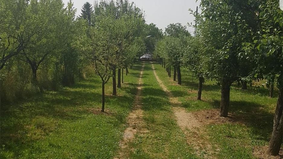 Vand schimb casa, teren Viile Satu Mare cu apartament, casa cu si fara  diferenta - Poză 3