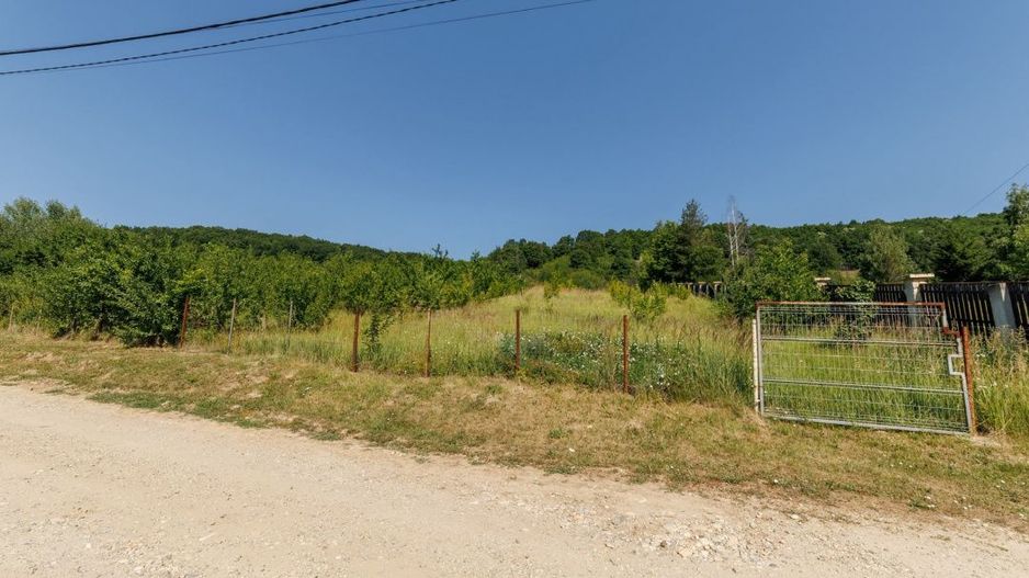 Teren intravilan Ștefănești Valea Mare Podgoria - Poză 1