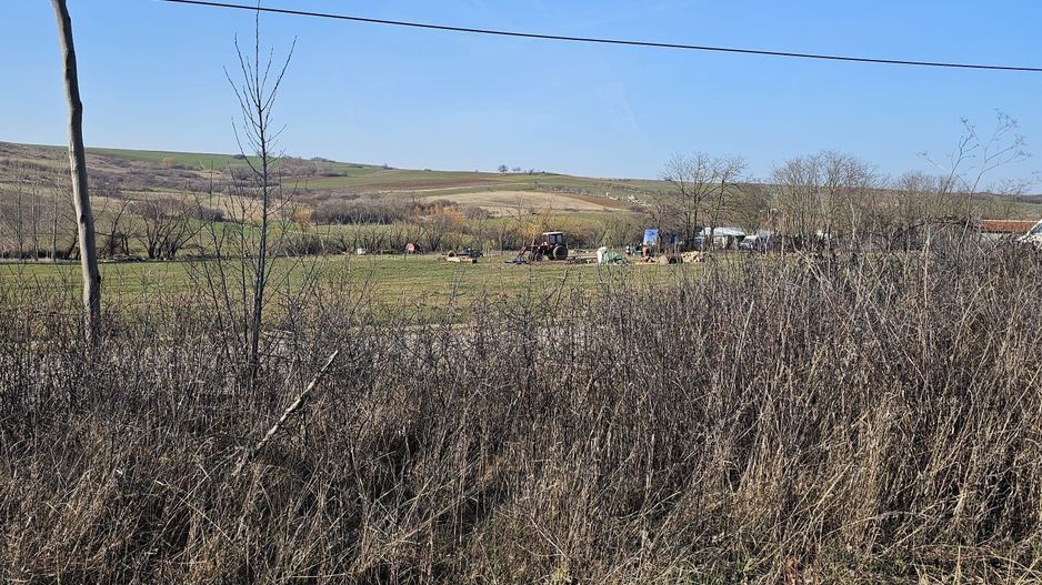 Teren intravilan Cetariu 1500 mp - Poză 7