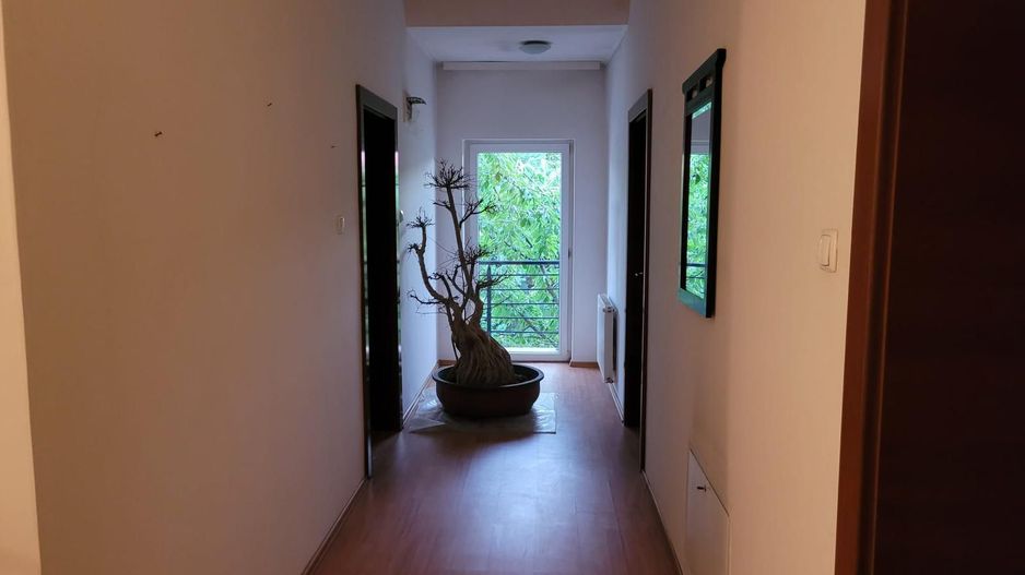 Vila complex residential Bucurestii Noi | Petrom City - Poză 10