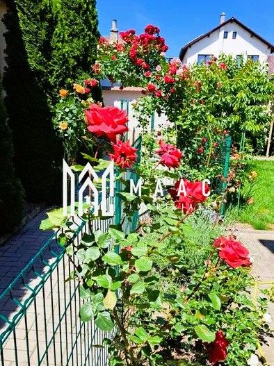 Casa cu 5 camere individuala | Teren 500 | Zona Cartierul Turnisor - Poză 3