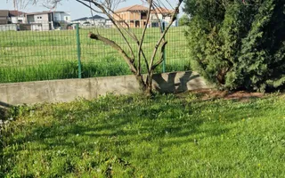 Casă de închiriat în Dumbravita – 3 dormitoare si garaj - Poză 12