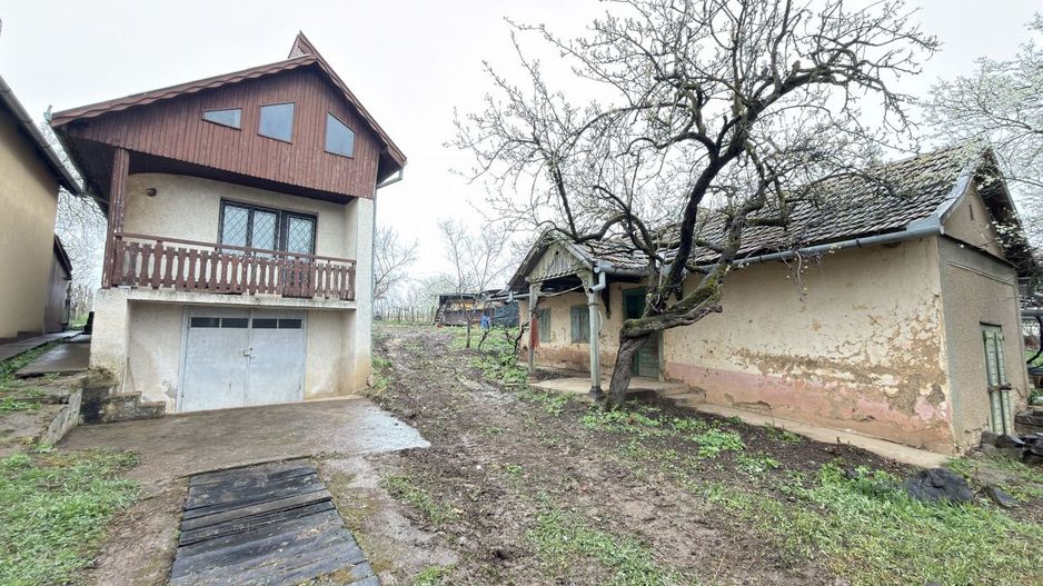 De vânzare 2 Case de vinificație cu Teren 4108 mp - Grădina Viilor - Carei - Poză 2