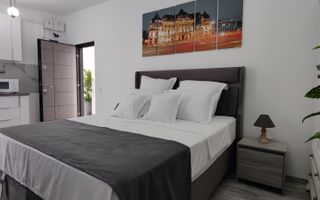 Studio modern, 30 mp | Strada Samuil Vulcan - Poză 4