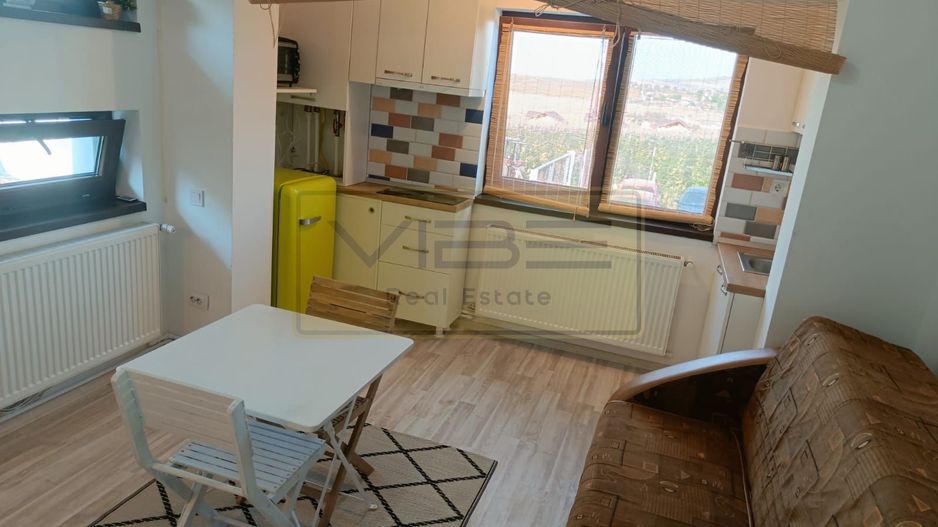 Garsoniera - 250 euro - Vișan ! - Poză 8
