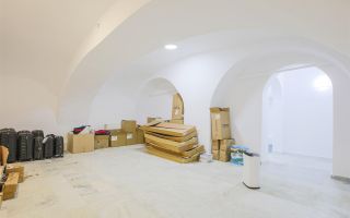 Sub mantia arhitecturala istorica a Cetatii Timisoarei, Spatiu comercial - Poză 27