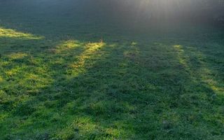 Teren | 1.525 mp  Râul Sadului - Poză 2