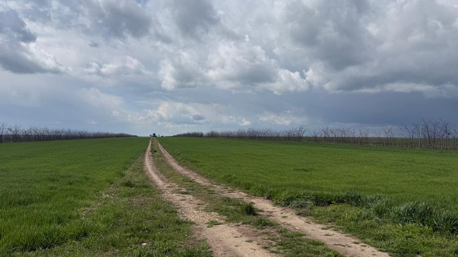 Teren de vanzare in Săcele ideal pentru silozuri, fermă 6 ha - Poză 21