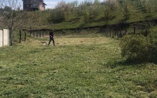 Teren | Intravilan | 500 Mp | Sura Mare - Poză 2
