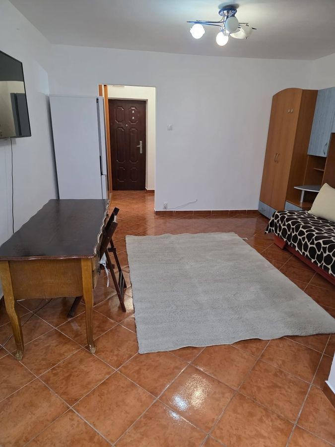 BRASADAS inchiriaza gars PARTER Mihai Bravu, Kaufland. - Poză 1