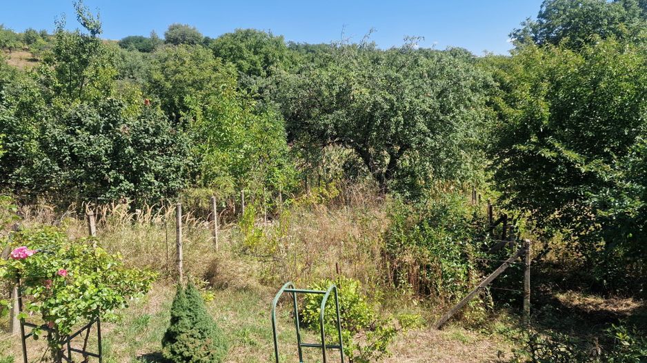 Casa in mediu rural cu teren - Poză 23