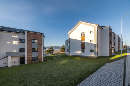 
    
    
    
    🌿 9. Garanția spațiilor verzi predate impecabil
  
  
  
  