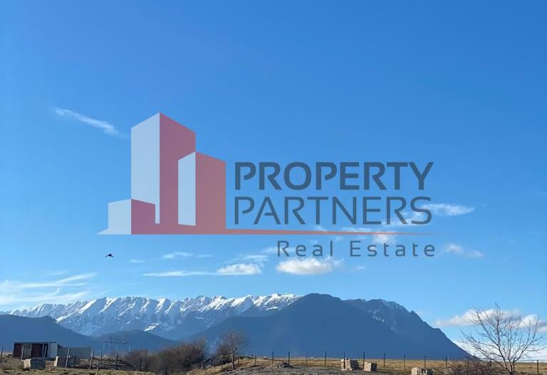 Teren Sohodol 10.000 mp - Poză 1