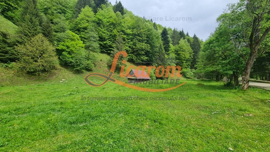 13005 mp teren faneata in Bran Simon cu fornt de 57 mp - Poză 1
