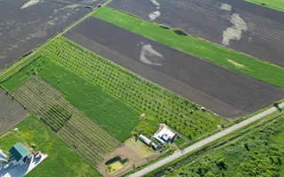 Livadă de nuci și pruni 2.4ha în Variașul Mare - Poză 20
