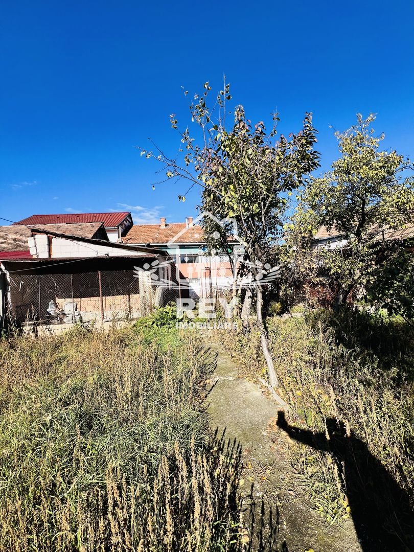 Casă 3 camere cu teren 468 mp zona Străzii Record/Terezian - Poză 20