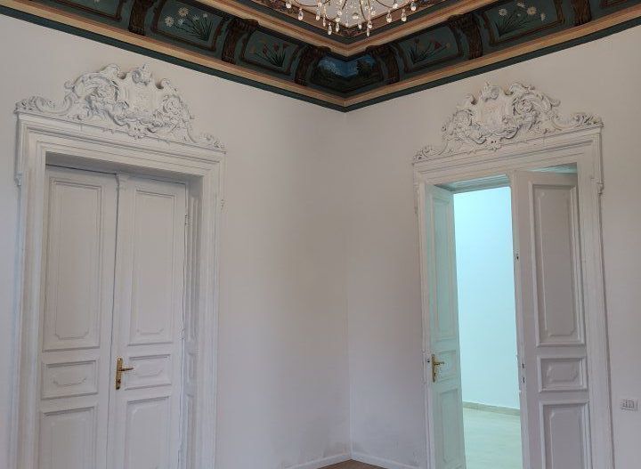 Vila Reprezentativa  8 camere Calea Mosilor - Poză 10