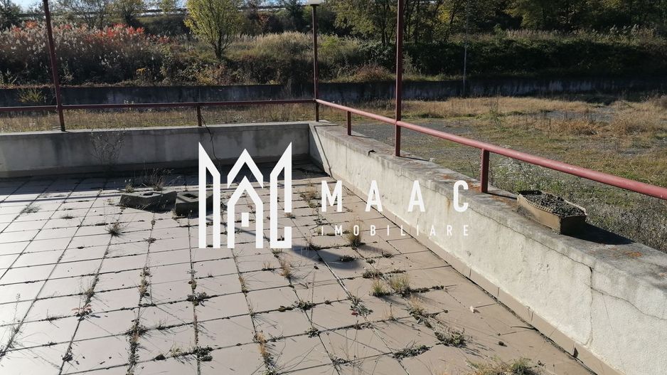 Teren 20000 mp I 3 corpuri cladire I Cristian - Poză 14