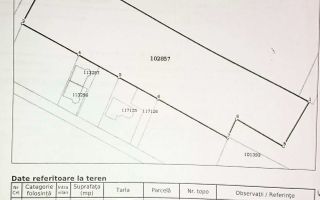 Teren **7600mp** // 44m deschidere // Voluntari - Poză 1