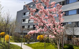 APARTAMENT 4 CAMERE | PROIECT NOU | PISCINA IN COMPLEX - Poză 12