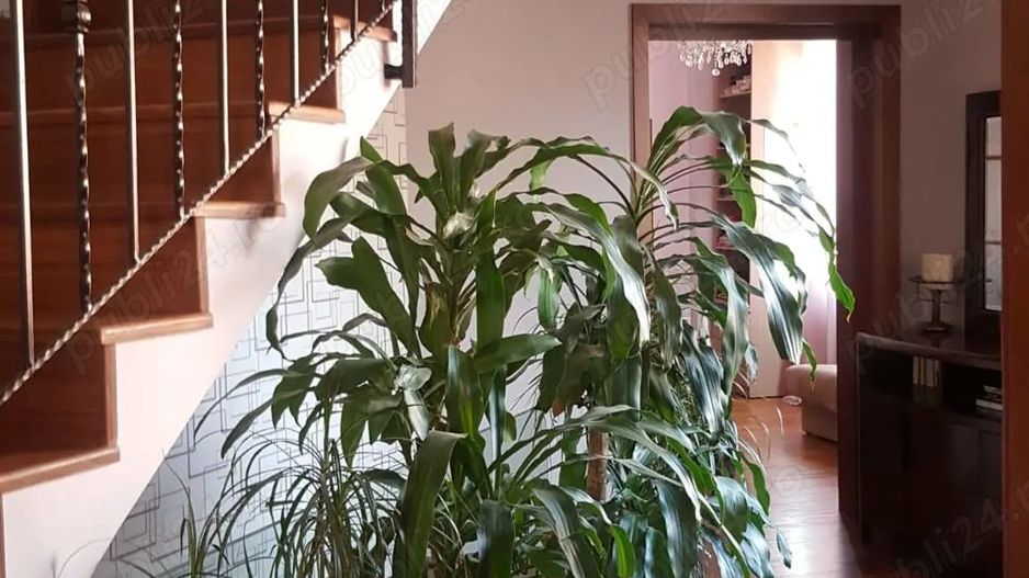 De Inchiriat Vila 5 Camere Parc Ronda - Matei Voievod sector 2 - Poză 9