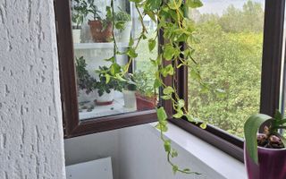 Casa de vanzare Aparatorii Patriei - Poză 1