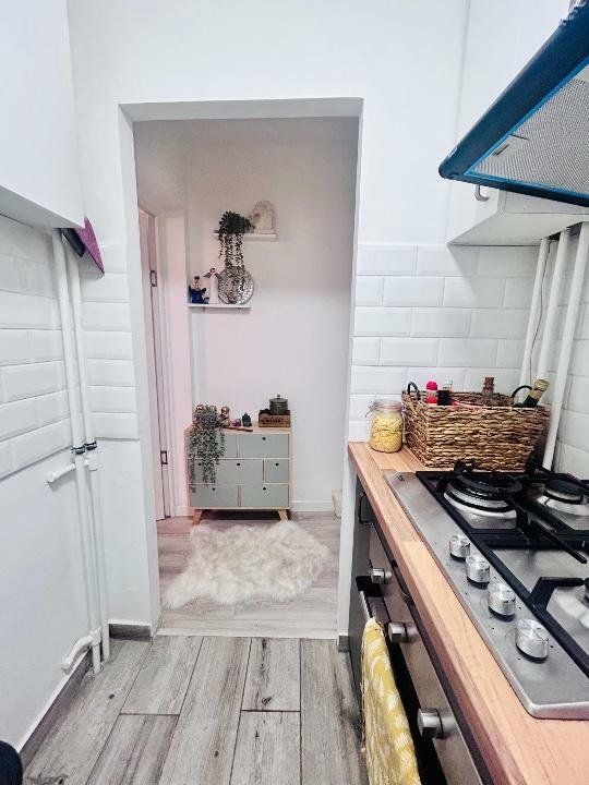 APARTAMENT LUX | TEIUL DOAMNEI - Poză 5